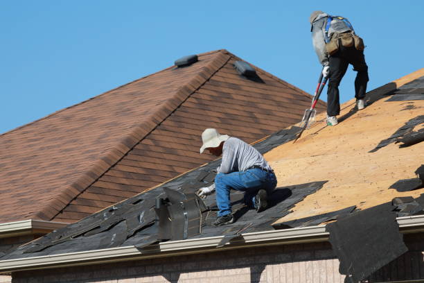 Best Roof Moss and Algae Removal  in Perryville, AR