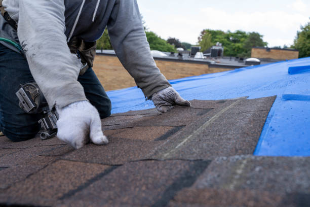 Best Chimney Flashing Repair  in Perryville, AR